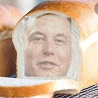 Elon crust screenshot, image №3844673 - RAWG