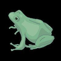 je suis une grenouille screenshot, image №1869978 - RAWG