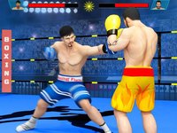 Ninja Punch Boxing screenshot, image №927182 - RAWG