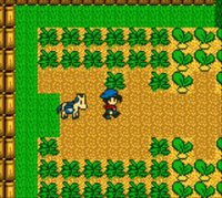 Harvest Moon screenshot, image №806534 - RAWG