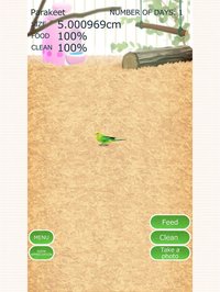Virtual Therapeutic Parakeet Pet screenshot, image №1662210 - RAWG