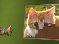 Super Jigsaws Kittens screenshot, image №1955014 - RAWG