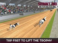 Sprint 100 Meter Dog Racing: Race Dogs On Tracks screenshot, image №1780158 - RAWG