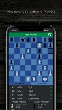 Blindfold Chess Puzzles screenshot, image №2479377 - RAWG