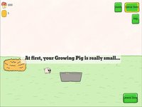 Growing Pig screenshot, image №1632684 - RAWG