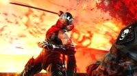 Ninja Gaiden 3 screenshot, image №564128 - RAWG