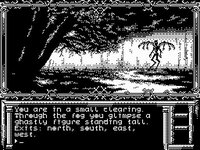Donum screenshot, image №3634454 - RAWG