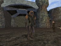 Dark Age of Camelot: Shrouded Isles screenshot, image №369122 - RAWG