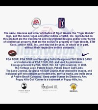 Tiger Woods PGA Tour 2001 screenshot, image №764822 - RAWG