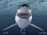 Talking Great White HD - for iPad screenshot, image №968000 - RAWG