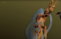 The Aquatic Messenger (itch) screenshot, image №1089252 - RAWG