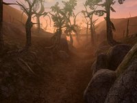 The Elder Scrolls III: Morrowind screenshot, image №289997 - RAWG