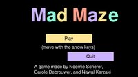 MadMaze screenshot, image №1252963 - RAWG