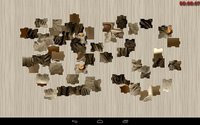 Pet Puzzle screenshot, image №1459557 - RAWG