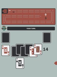 Cribbage vs Robots screenshot, image №2132557 - RAWG