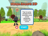Ninja Escape 3D screenshot, image №1670607 - RAWG