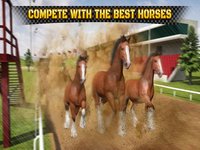 Wild Horse Racing Champions screenshot, image №1664244 - RAWG
