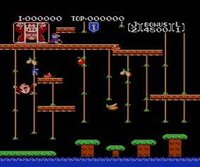 Donkey Kong Jr. screenshot, image №822761 - RAWG