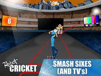 Robot Cricket screenshot, image №1951112 - RAWG