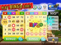 Bingo Craze! screenshot, image №1738161 - RAWG