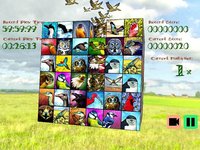 Birdistry screenshot, image №1769864 - RAWG