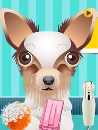 A Cute Puppy Shave Salon - eXtreme Makeover Spa Games Edition screenshot, image №1983881 - RAWG