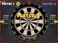 PDC World Championship Darts screenshot, image №465792 - RAWG