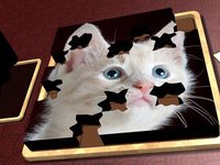Jigsaw Solitaire Kitties screenshot, image №1986718 - RAWG
