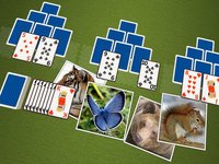 TriPeaks Wild Animals screenshot, image №1330750 - RAWG