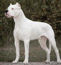 Indovina l'immagine screenshot, image №2502087 - RAWG