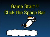 Jumping Cat (dlwnstjd7) screenshot, image №2685883 - RAWG