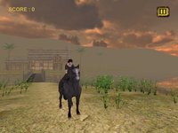 Jungle Wild Horse Racing screenshot, image №1603972 - RAWG