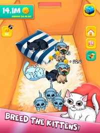 Kitten Evolution: Meow Clicker screenshot, image №1899676 - RAWG