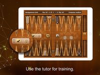 Backgammon Gold screenshot, image №2058458 - RAWG
