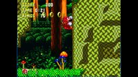 Sonic & Knuckles screenshot, image №274294 - RAWG