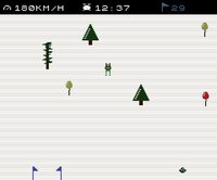 Skiing Frenzy screenshot, image №3880983 - RAWG