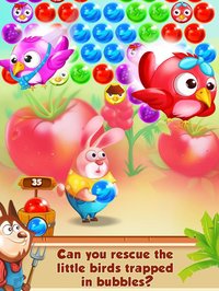 Bubble Farmer screenshot, image №1776478 - RAWG