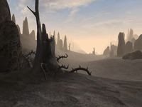 The Elder Scrolls III: Morrowind screenshot, image №289976 - RAWG