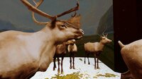 Beyond The Diorama: Caribou World screenshot, image №2676418 - RAWG