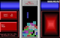 Tiny Tetris screenshot, image №339266 - RAWG
