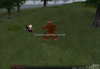 Mabinogi screenshot, image №493452 - RAWG