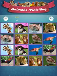 Matching Madness - Animals screenshot, image №1849765 - RAWG