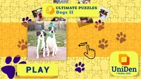 Ultimate Puzzles Dogs 2 screenshot, image №3006046 - RAWG