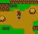 Harvest Moon 3 GBC (2000) screenshot, image №742788 - RAWG