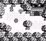 Proquastinação Total screenshot, image №2134019 - RAWG
