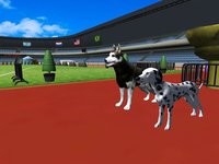 Crazy Racing Dog Simulator screenshot, image №1678625 - RAWG