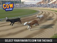 Cow Racing Free Game screenshot, image №1780002 - RAWG
