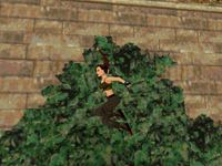 Tomb Raider II screenshot, image №765036 - RAWG