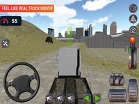 Trucking World: Mission Danger screenshot, image №1854467 - RAWG