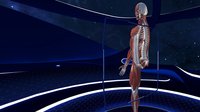 Human Anatomy VR screenshot, image №2150007 - RAWG